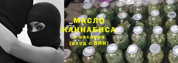 гидра Богородицк