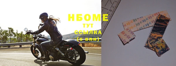гидра Богородицк