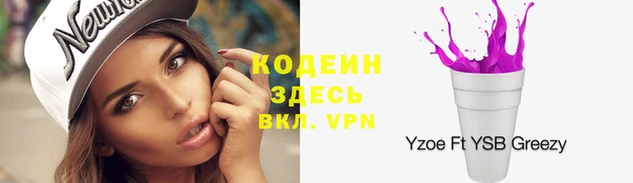 дживик Бородино
