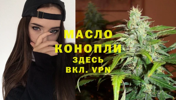гидра Богородицк