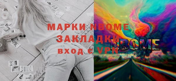 дживик Бородино