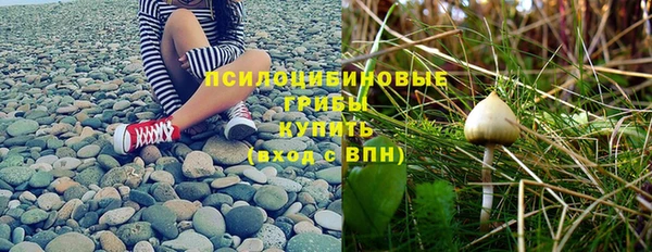 PSILOCYBIN Бугульма