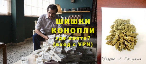гидра Богородицк