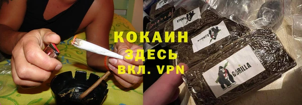 гидра Богородицк