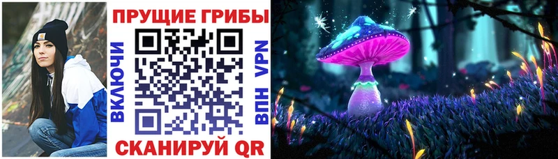 Псилоцибиновые грибы мицелий  площадка формула  Гай 