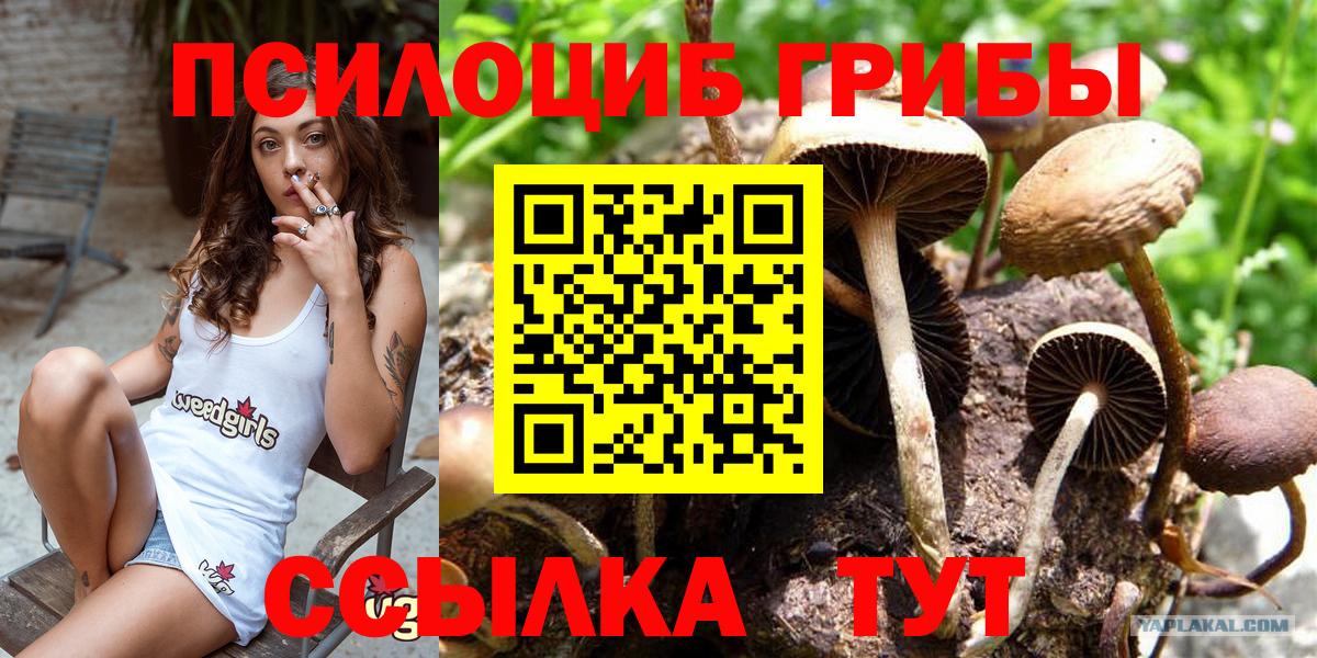 Галлюциногенные грибы GOLDEN TEACHER Гай