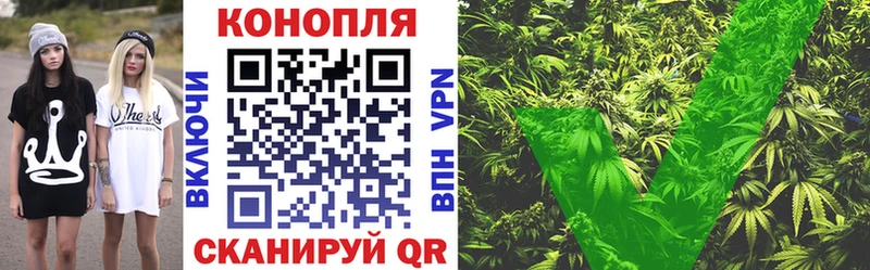 Бошки Шишки сатива  Гай 